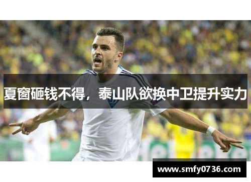 夏窗砸钱不得，泰山队欲换中卫提升实力